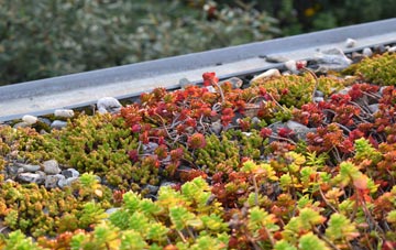 the cost of Bushley Green green roof installation