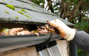 gutter cleaning Bushley Green, Worcestershire