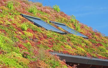 Bushley Green living roof systems